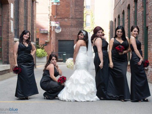 Liberty Village Weddings and Engagements